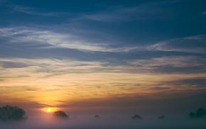 Sunrise Over Foggy Field With Silhouetted Trees