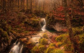 Autumn Forest Waterfall Cascading Over Rocks