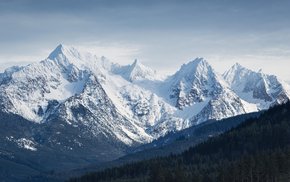 Winter Light Over Twin Sisters Range