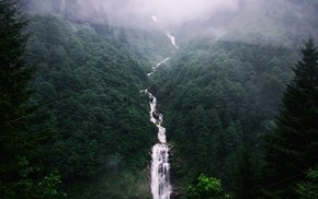 Waterfall Amidst Lush Forest And Fog
