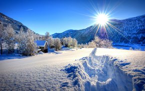 Winter Forest Dawn Snowy Field