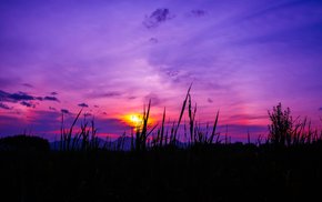 Twilight Grass Sky Sunset Scene