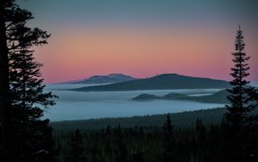 Night Lake Hills Tree Silhouettes