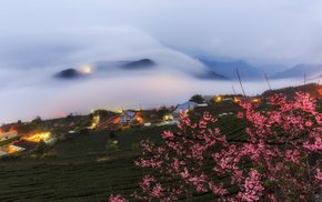 Night Sky Over Taiwanese Village