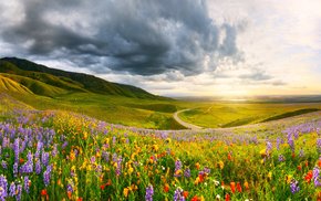 Wildflower Valley View Under Cloudy Sky