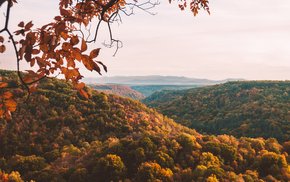 Aerial Forest View Autumn Colors