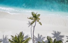 Aerial View Of Maldivian Beach