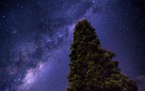 Starry Sky Milky Way Tree
