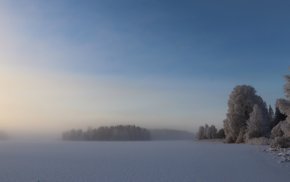 Snow Covered Field With Background Trees