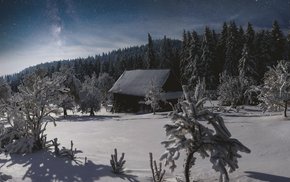 Snowy Cabin Amidst Pine Trees Under Starry Sky