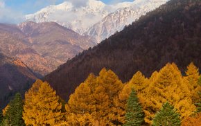 Snow-Capped Peaks And Lush Trees