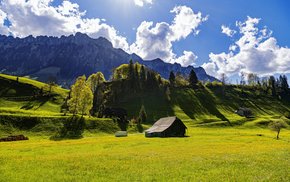 House In Grassy Field With Trees