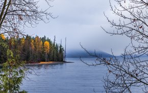 Autumn Lake Island Forest Landscape