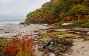 Osorezan Rocky Beach Autumn Foliage